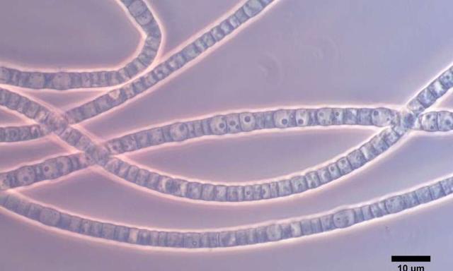 171018182_1_20190914074626829.jpg 171018182_1_20190914074626829.jpg