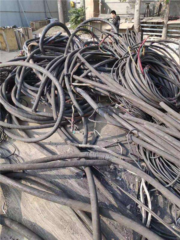 timg35.jpg timg35.jpg